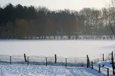 Frühnebel weg_klein.webp