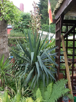 letzte 013..webp