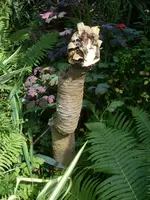 alles 028.webp