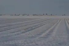 Winter_5.webp