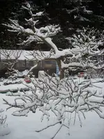 SL376574.webp