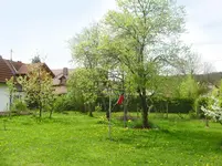 garten.webp