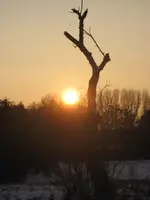 Februar 2010 009.webp