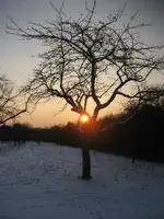 Februar 2010 012.webp