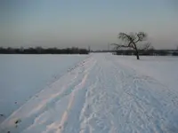 Februar 2010 014.webp