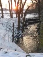Februar 2010 016.webp