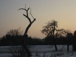 Februar 2010 007.jpg