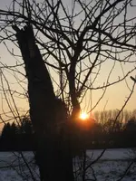 Februar 2010 011.webp