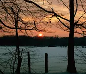 DSC_4230.webp