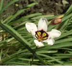 Bild 007.webp