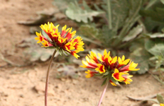 IMG_5406(1).webp