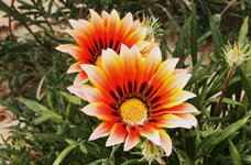IMG_5407(1).webp