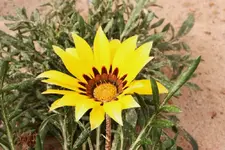 IMG_5410(1).webp