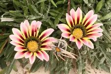 IMG_5413(1).webp