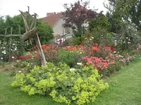 Rose 1.webp