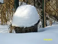 2010  Berlin 02 075.webp