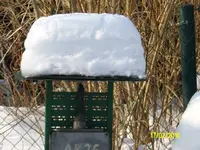 2010  Berlin 02 076.webp