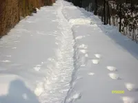 2010  Berlin 02 066.webp
