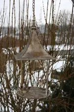 IMG_0012.webp