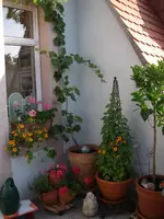 Sommer 09 015.webp