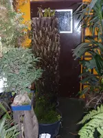 SL376763.webp
