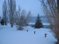 001.webp