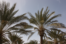 IMG_5578(1).webp