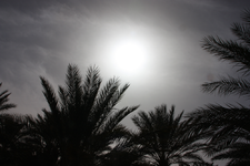 IMG_5580(1).webp