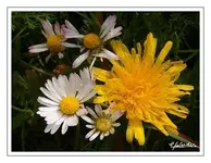 bild03.webp