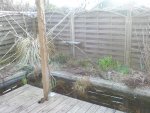 Garten20100219141847.jpg