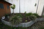 Garten20100219142226.jpg