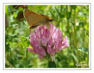 bild07.webp