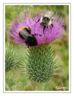 bild09.webp