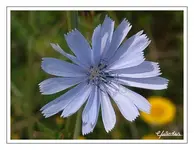 bild19.webp