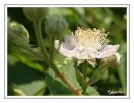 bild05.webp
