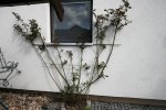 Garten20100219142200.jpg