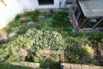 Garten20100219142331.jpg