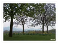 bild11.webp
