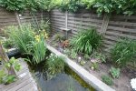 Garten20100219142535.jpg