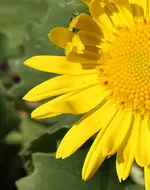 Rätselbild9.webp