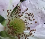Bild 852.webp