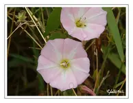 bild30.webp