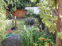 Foto039.webp