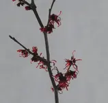 P1100403_600_570.webp