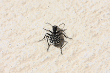 IMG_5569(1).webp
