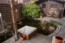_MG_7372.webp