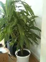 2fc16765.webp
