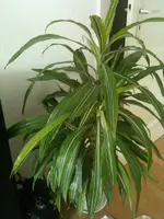 9c34c524.webp