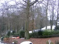 DSCF2972.webp