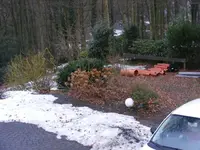 DSCF2965.webp